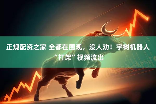 正规配资之家 全都在围观，没人劝！宇树机器人“打架”视频流出